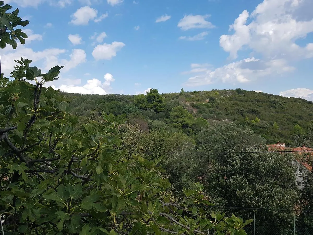 Seaside Terrace Apartments: Spacious Seaview with Free Amenities Sali Croatia