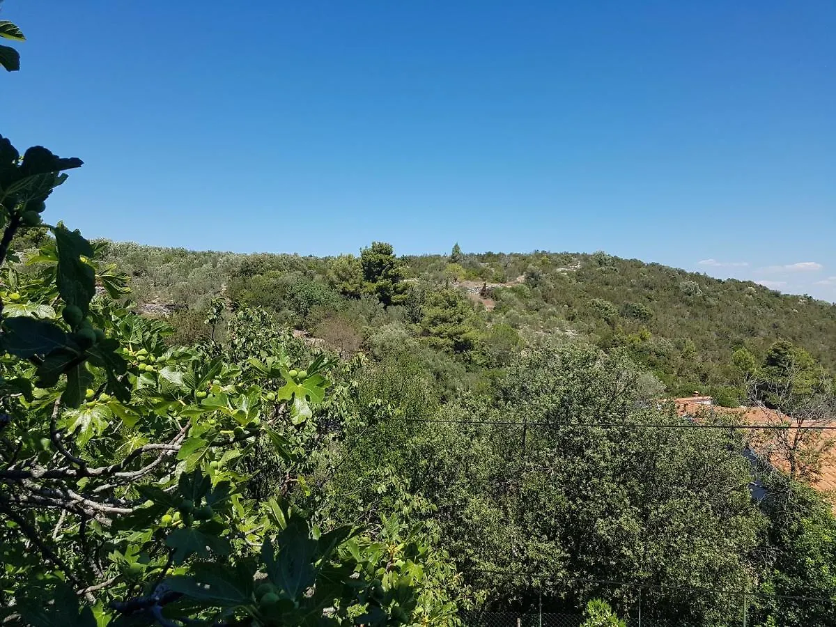 Seaside Terrace Apartments: Spacious Seaview with Free Amenities Sali Croatia