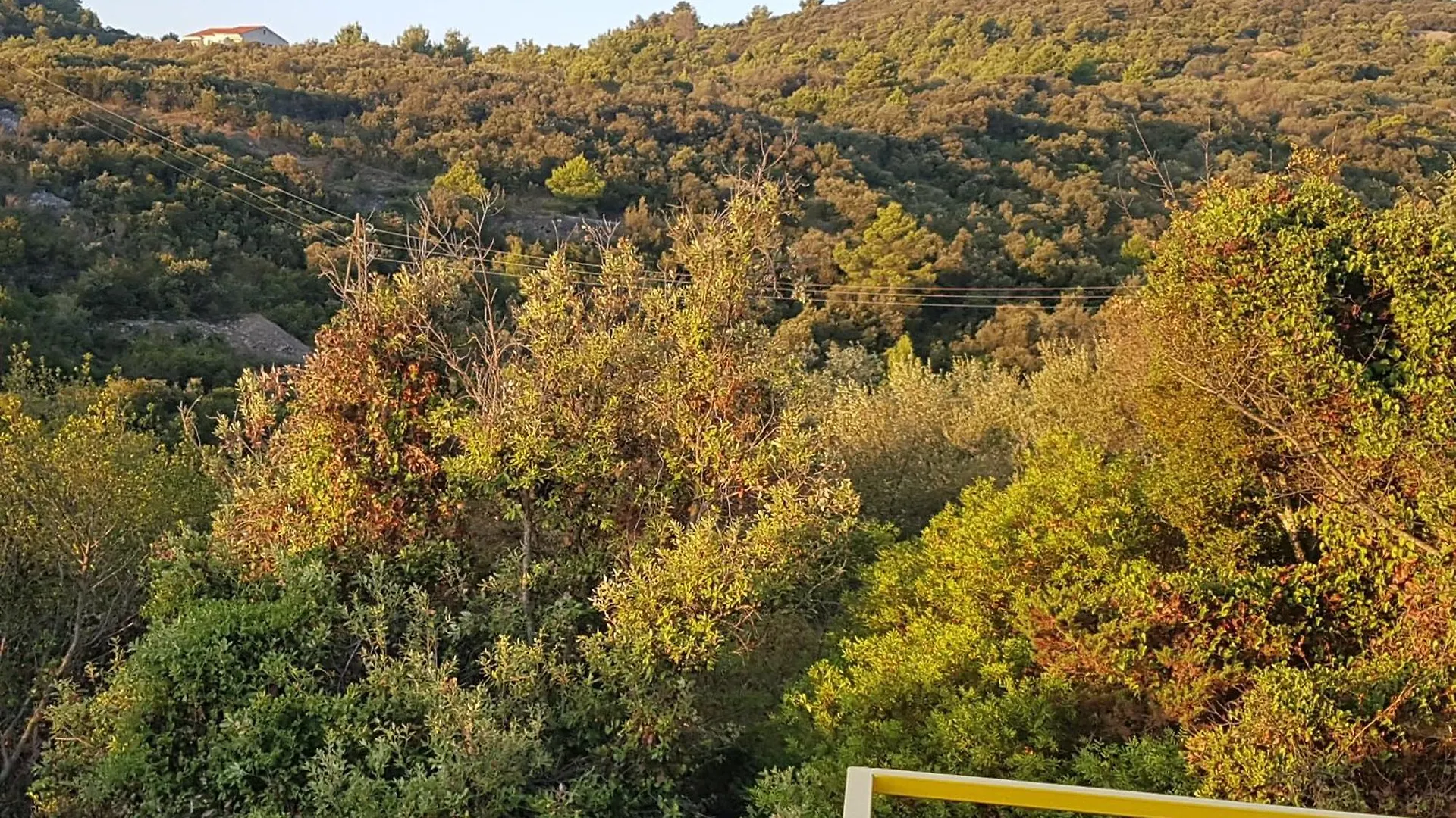 Seaside Terrace Apartments: Spacious Seaview with Free Amenities Sali Croatia
