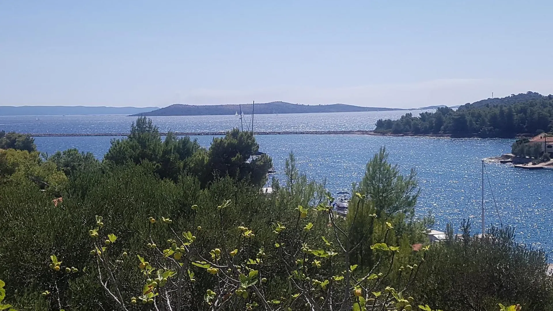 Seaside Terrace Apartments: Spacious Seaview with Free Amenities Sali Croatia